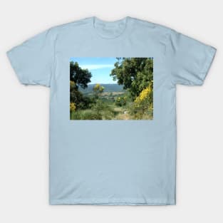 Near La Collobrières in the South of France T-Shirt